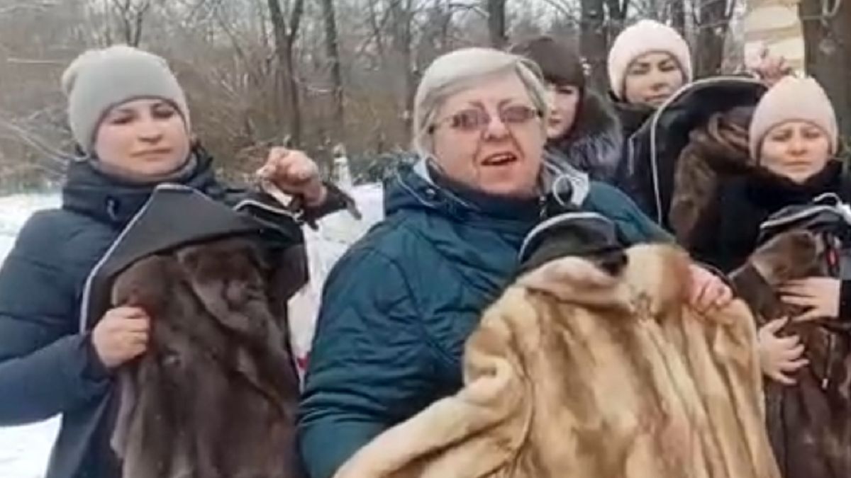 Wdowom zabrano futra 