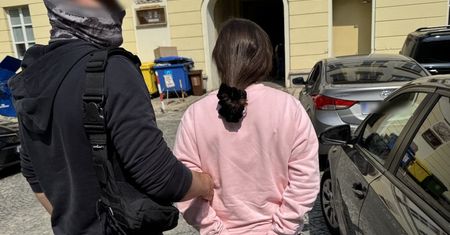 Milion w sejfie i sieć nielegalnych usług. Małżeństwo w rękach stołecznej policji