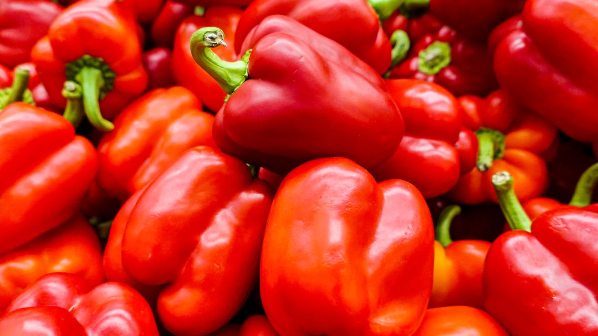 Krzyżówka z wiedzy ogólnej