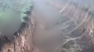 Pokazali straszne nagranie. Rosjanie nie usuwają ciał poległych