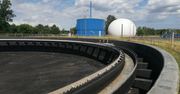 Niechciane sąsiedztwo w kociewskiej wsi. Sprzeciw mieszkańców