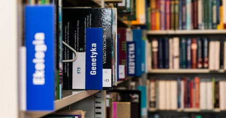 Miasto przyzna stypendia studentom