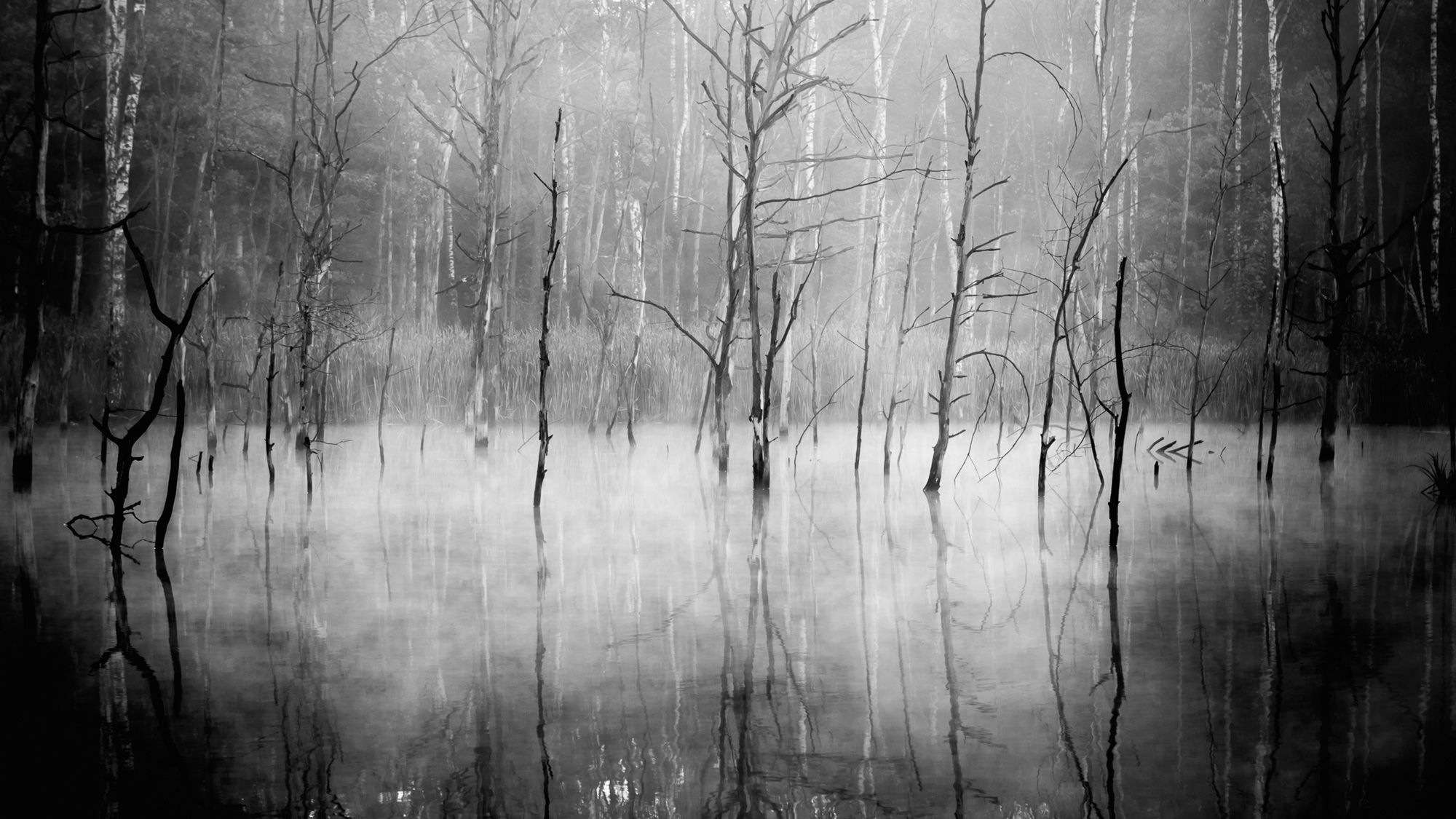 Malarskie prace Pawła Klareckiego przeniosą was w nowy wymiar fotografii krajobrazowej 2