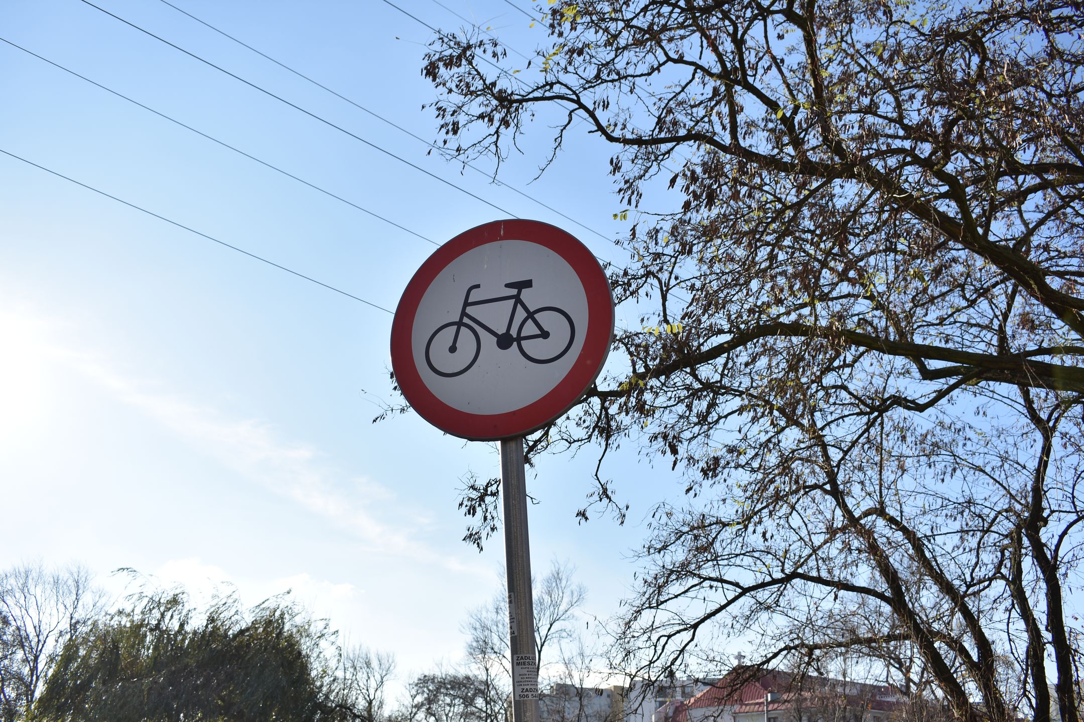 Nikon D3400 - test lustrzanki dla każdego 45