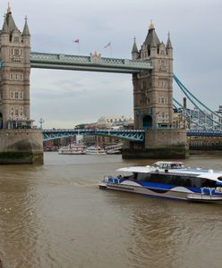 Ludzka kość sprzed 5 tys. lat w Tamizie. Sensacyjne odkrycie wioślarza w Anglii