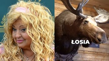 Magda Gessler już nie chce wypchanej głowy łosia. Restauratorka WYCOFAŁA pozew przeciwko restauracji. Miło?