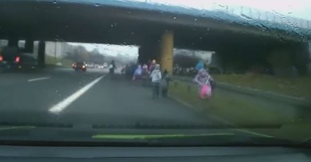 Opiekunowie z dziećmi na trasie szybkiego ruchu. Nagranie oburzyło internautów