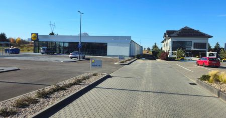 Nowy Lidl przy ul. Abramowickiej. Otwarcie w czwartek (lista promocji)