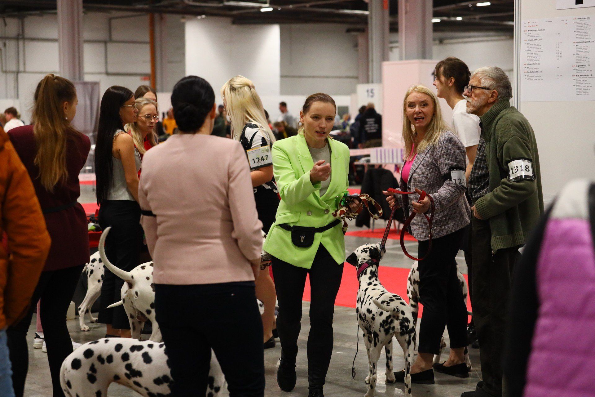 Było sporo Dalmatyńczyków