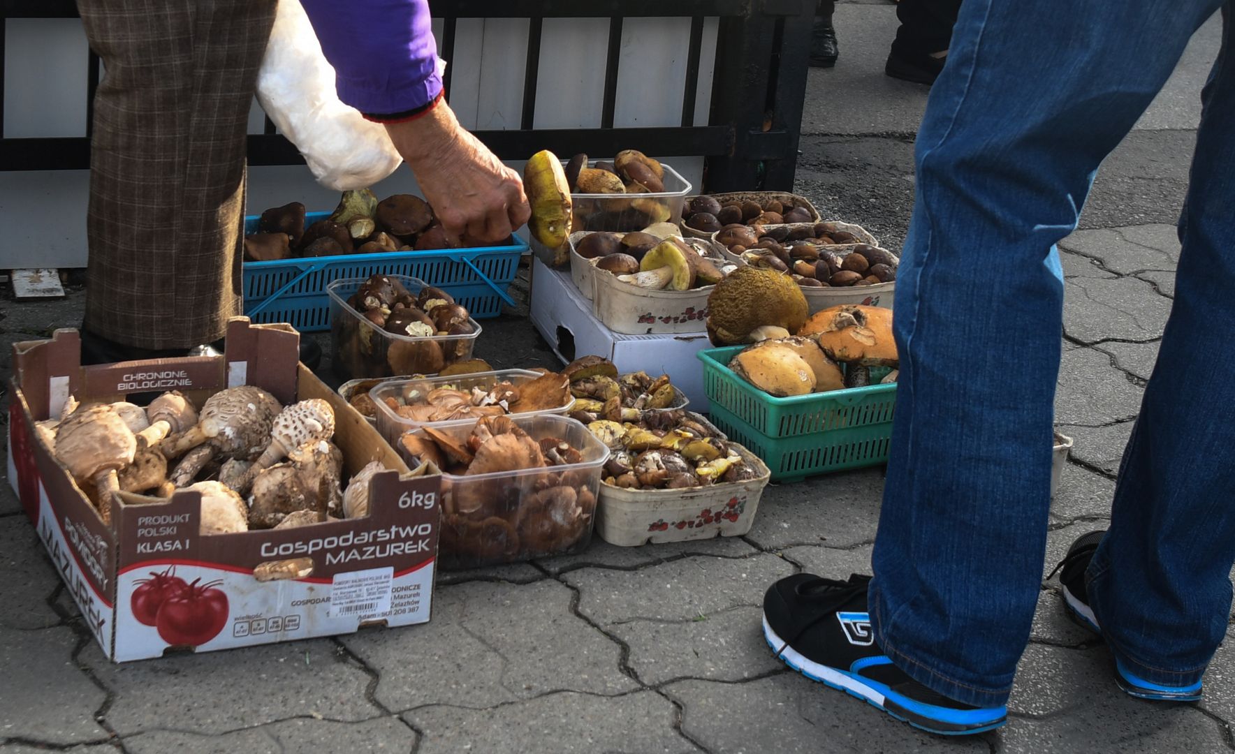 Poszła na bazar. Chciała kupić grzyby. "Kto to widział"