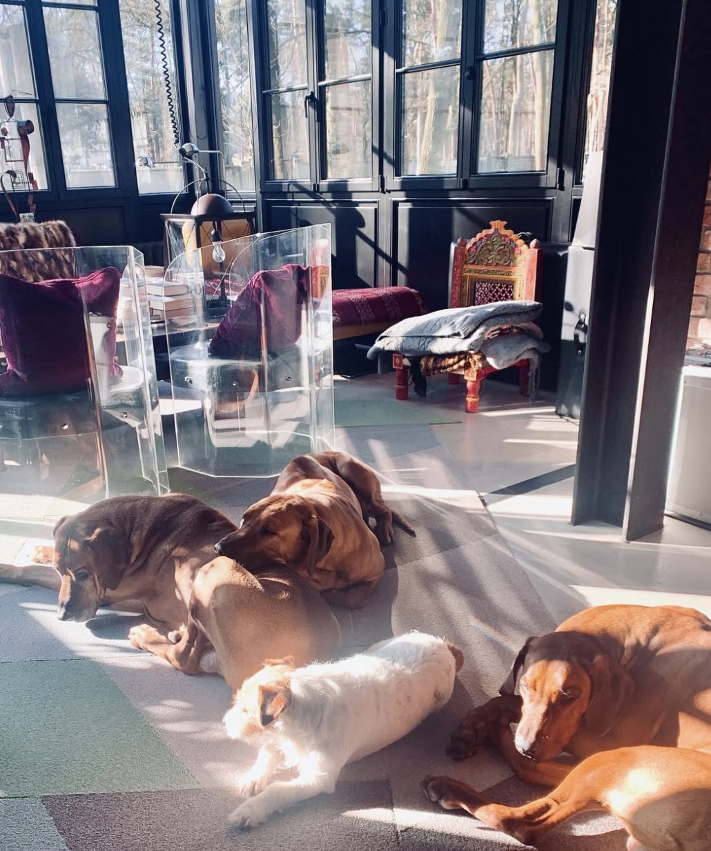 Salon Agnieszki Woźniak-Starak