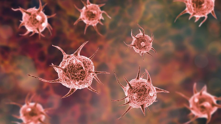 Choroby pasożytnicze