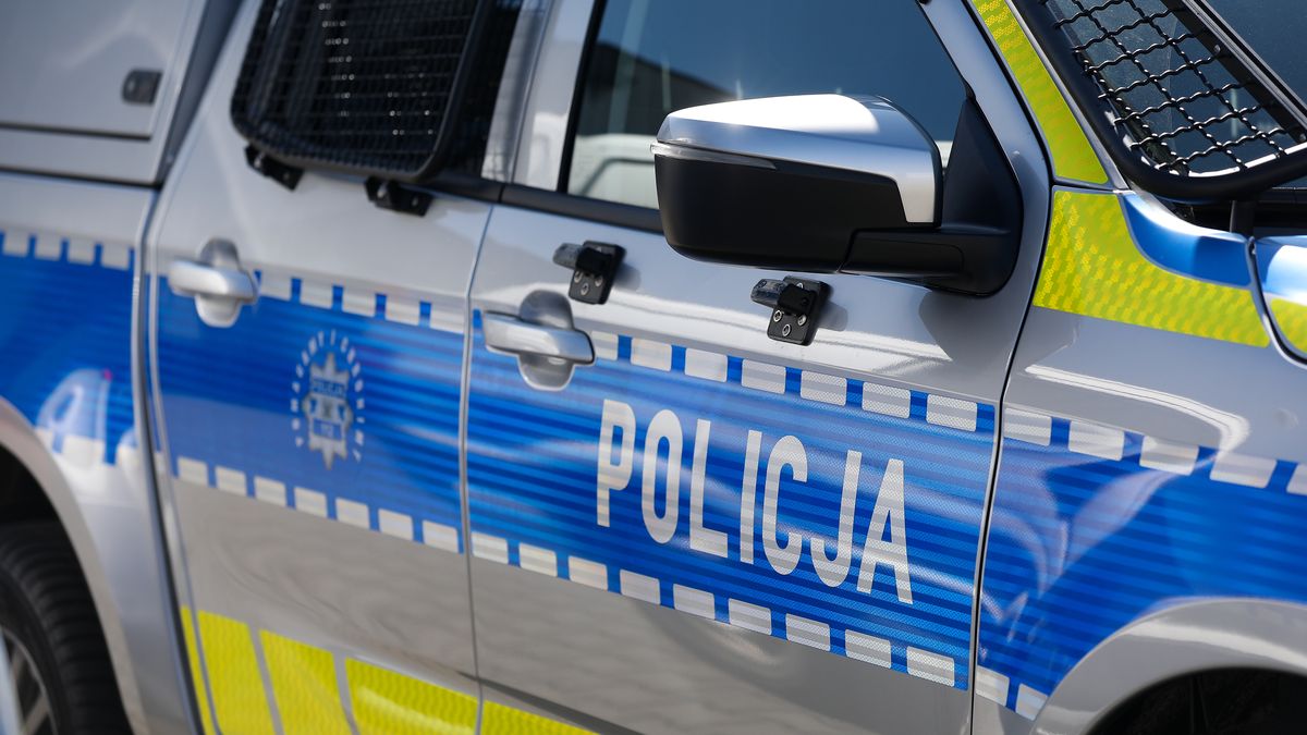 7 osób zatrzymanych. Są podejrzani o oszustwa w internecie