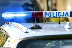 Ustawka po meczu Legii ze Spartakiem Moskwa. Ponad stu kiboli na autostradzie