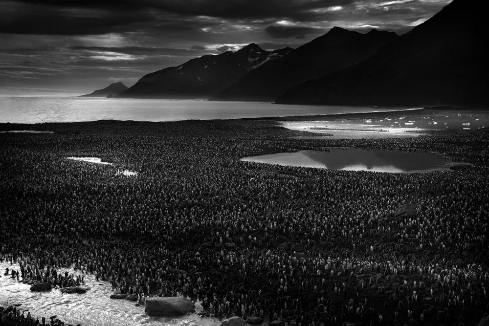 Polacy wśród wyróżnionych w konkursie International Photography Awards 2015 7