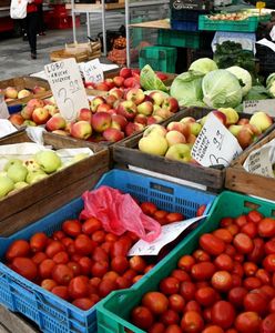 Prawie połowa kontroli IJHARS z rażącymi błędami. Właśnie ruszają kolejne