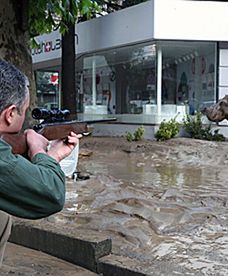 Niebezpieczne zwierzęta grasują po ulicach Tbilisi