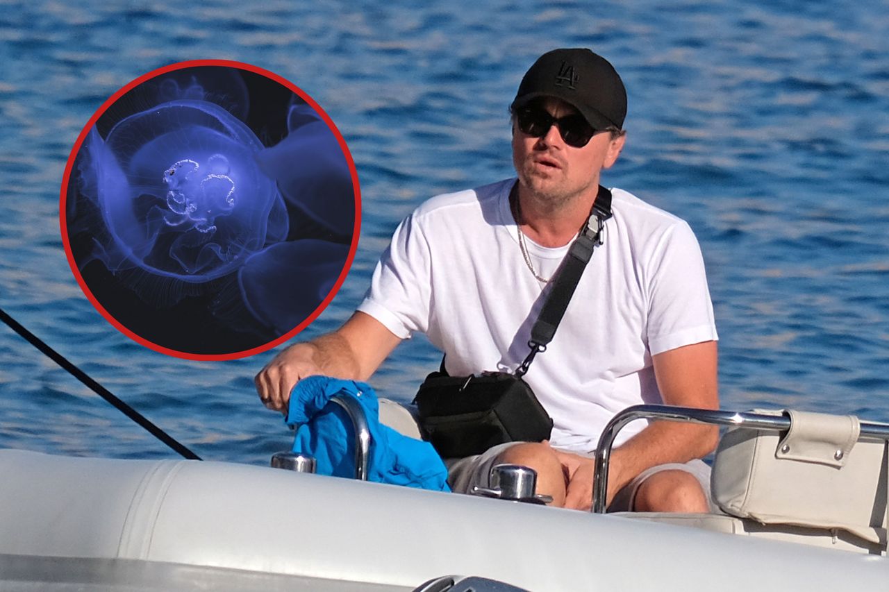 Leonardo DiCaprio caught on vacation. He had an encounter with a jellyfish.