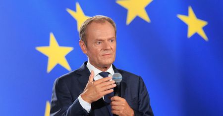 "Efekt Tuska" wrócił? Ekspert tłumaczy wzrost poparcia dla KO