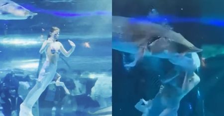Horror w oceanarium. Ryba prawie POŻARŁA rosyjską syrenkę! Przerażające nagranie