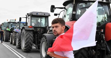Tego nie puszczą w telewizji. Szef Agrounii miażdży PiS i TVP