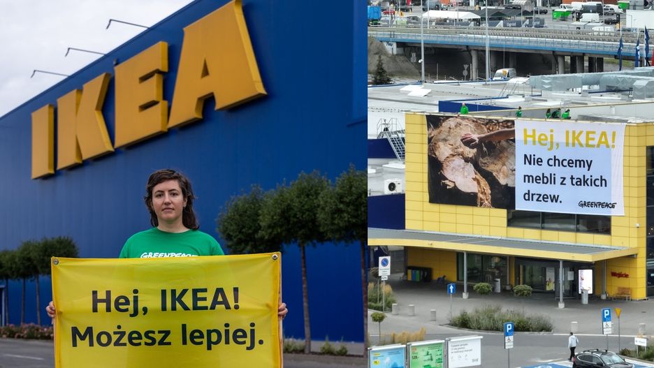 Akcja aktywistów Greenpeace w podwarszawskiej Ikei w Jankach