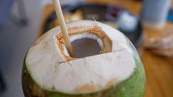 Woda kokosowa - naturalny izotonik i sekret zdrowego ciała czy przereklamowany napój? Poznaj prawdę