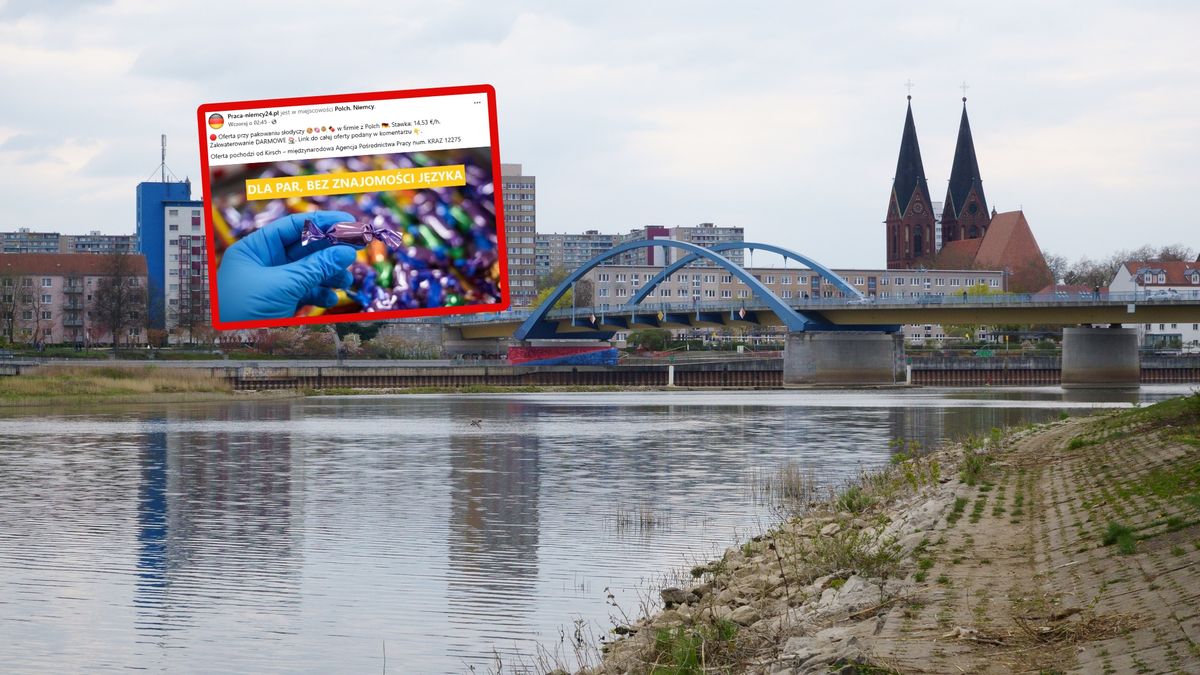 Oferta pracy z Niemiec. Poruszenie w Polsce.