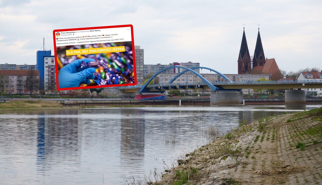 Niemcy dają darmowe mieszkanie. Poruszenie w Polsce