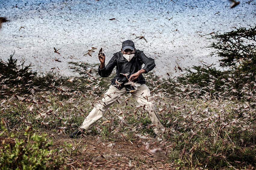 Sony World Photography Awards 2021: Znamy wyniki największego konkursu fotograficznego na świecie 29