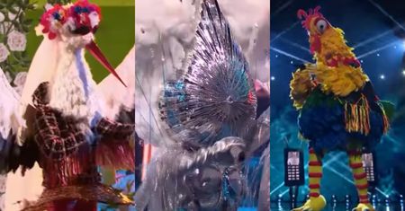 Finał "Mask Singer" już wkrótce. Oto OSTATNIE typy widzów! Kto kryje się pod maskami Bociana, Deszczu i Koguta?
