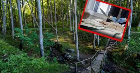 Niemcy ogłosili największe odkrycie w historii. Skarb waży niemal 7 kg