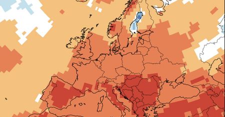 Lato, jakiego nie było. Prognozy są jednoznaczne
