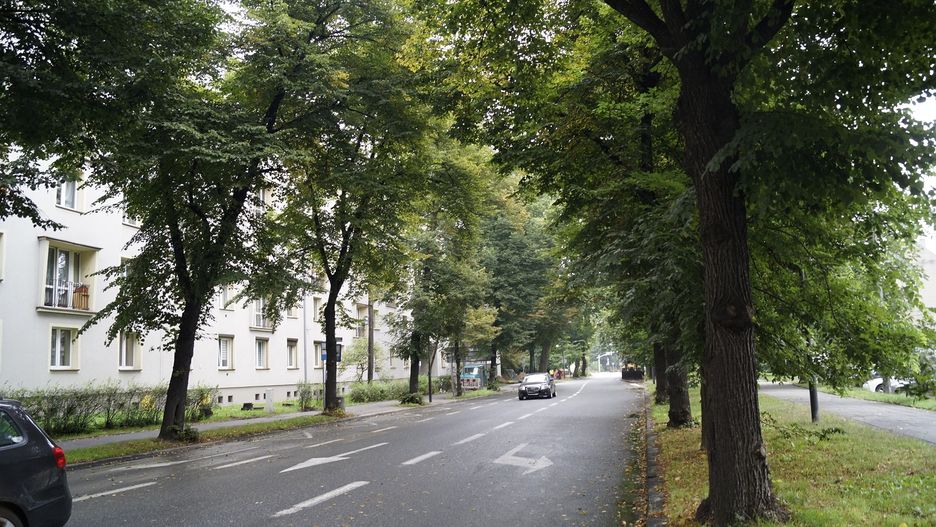 Gliwice. W poniedziałek ruszają prace przy budowie ścieżki rowerowej na ul. Nowy Świat.