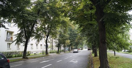 Gliwice. Zmiany w komunikacji autobusowej. Co się zmieni?