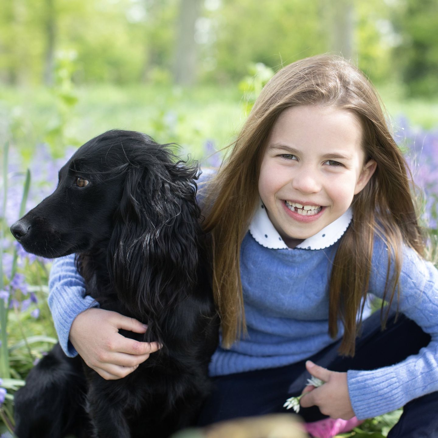Księżniczka Charlotte świętuje 7. urodziny 