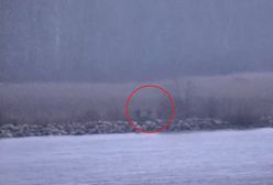 Estonia: Rosyjscy żołnierze przekroczyli granicę NATO. Wszystko się nagrało