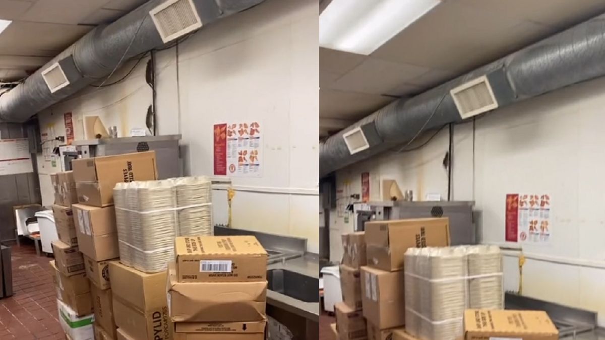 Przez szczury knajpa została zamknięta.