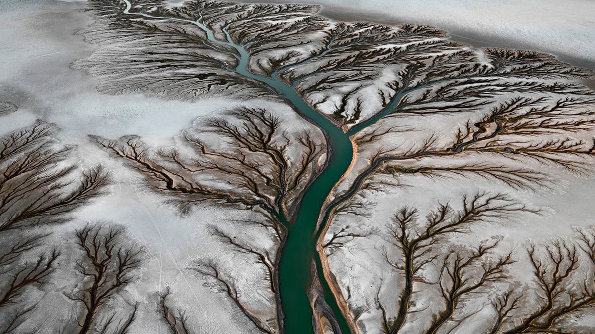 Filmy o fotografii, czyli „Wszyscy jesteśmy fotografami - Kino Letnie Vol. 1" 1