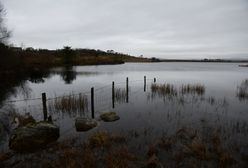 Katowice. Ze stawu wyłowiono zwłoki kobiety