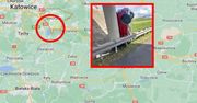 Tragedia niedaleko Katowic. Kierowca nie miał szans