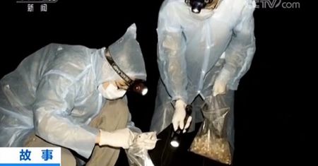 Wuhan. Laboratorium miało patent na klatki do chowu nietoperzy