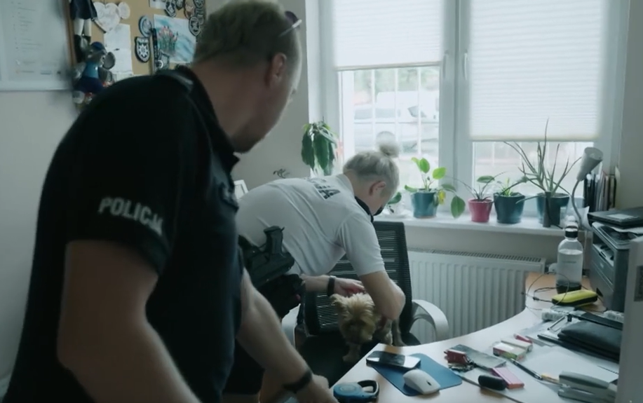 Nietypowy gość na komisariacie. "Do schroniska szkoda"