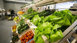 PIORiN ostrzega. Nielegalne produkty plagą podczas kontroli