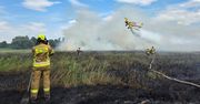 Pożar łąk niedaleko Gorzowa. W akcji dwa samoloty gaśnicze