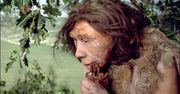 Jednak dawniej nie jedliśmy owadów? Analiza zębów wyjawiła prawdę