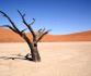Namibia. Dolina Śmierci