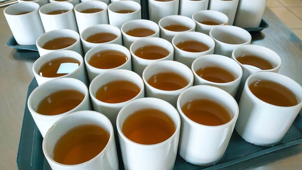 Co warto dodawać do herbaty?