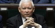 Biały szum w strusim kraju (Opinia)