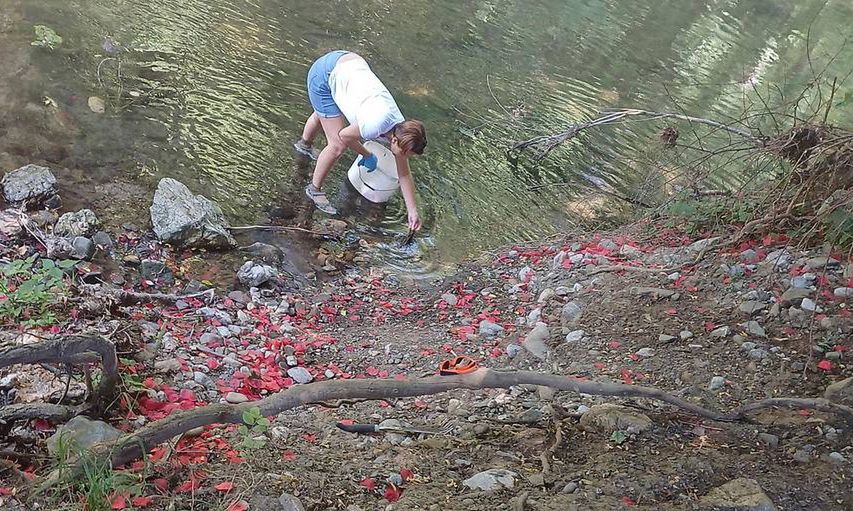 Miał być romantyczny gest, a jest problem. Afera w Baden
